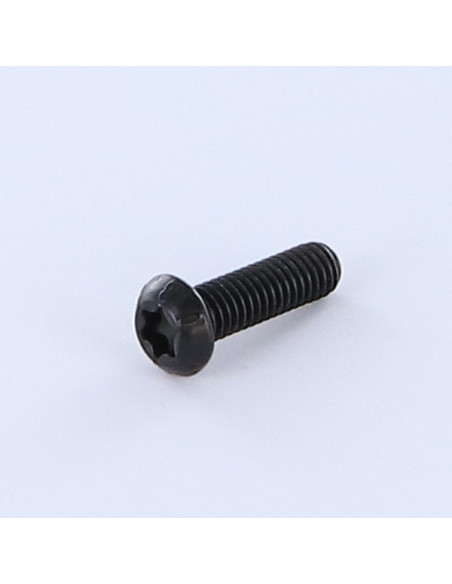 Parafuso de metais cabeça panela TORX T30 M6X30 Classe 8.8 Aço bruto Zinco níquel preto 480 horas de nevoeiro