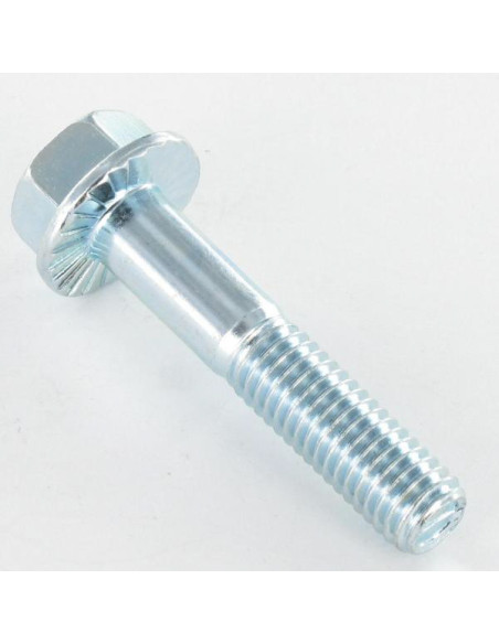 Parafuso de metais cabeça hexagonal M8X40 roscado sobre 25 flange com gola serrilhada Classe 8.8 Aço zinco branco