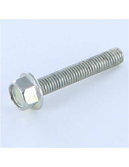 Parafuso de metais cabeça hexagonal M8X30 Aço zinco branco flange com gola serrilhada