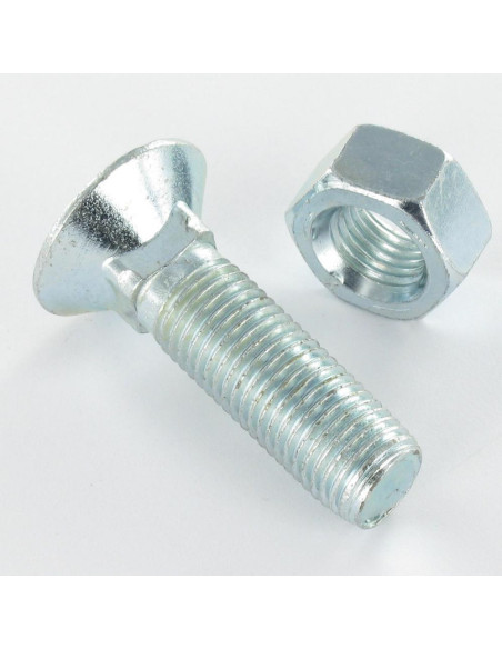 Parafuso arado GOLA QUADRADA DE CABEÇA DE EMBEBER M10X60 Classe 8.8 Aço zinco branco