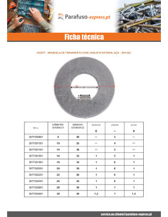 Arruela de bloqueio com saliência interna 70X100X1,5 Tipo F 10 Aço bruto 2