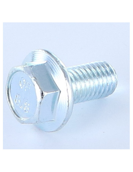 Parafuso de metais cabeça hexagonal M10X25 flange com gola serrilhada Classe 8.8 Aço zinco branco
