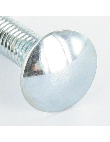 Parafuso cabeça redonda gola quadrada M6X12 gola baixa 1,5 diâmetro da cabeça 13,5 Aço zinco branco