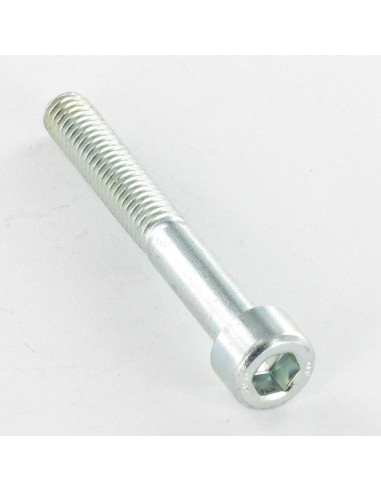 Parafuso de metais Parafuso cabeça oca sextavada M10X50 FT10.9 chave de 8 Aço zinco branco