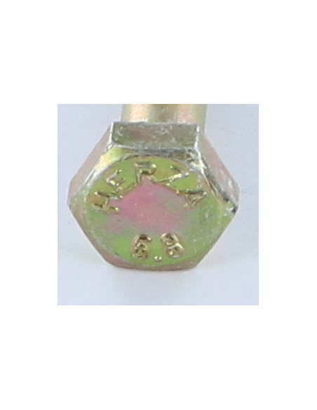 Corpo de parafuso cabeça hexagonal M10X50 DIN931 200 Horas de nevoeiro salino sem corrosão vermelha Z