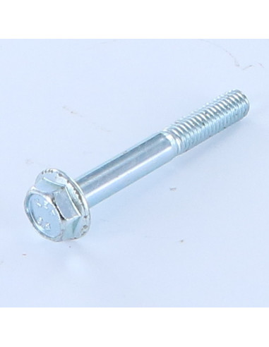 Parafuso de metais cabeça hexagonal M6X45 flange lisa Aço zinco branco