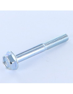 Parafuso de metais cabeça hexagonal M6X45 rosca parcial flange com gola serrilhada Classe 8.8 Aço zinco branco