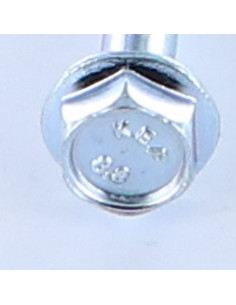 Parafuso de metais cabeça hexagonal M6X45 rosca parcial flange com gola serrilhada Classe 8.8 Aço zinco branco 2