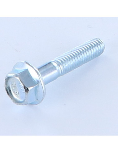 Parafuso de metais cabeça hexagonal M6X30 roscado sobre 18 rosca parcial flange com gola serrilhada Classe 8.8 Aço