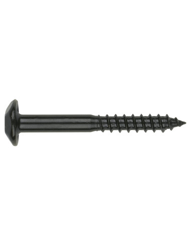 PARAFUSO dobradiça Seguro 2 peças TORX T40 6X40 Aço zinco preto