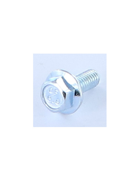 Parafuso de metais cabeça hexagonal M6X10 flange com gola serrilhada Classe 8.8 Aço zinco branco