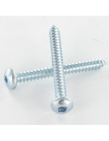 Parafuso de chapa cabeça abaulada larga quadrado 5,5 x 50 Aço zinco branco Parafuso com Cabeça com Fenda quadrada 3