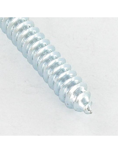 Parafuso de chapa cabeça abaulada larga quadrado 5,5 x 50 Aço zinco branco Parafuso com Cabeça com Fenda quadrada 3