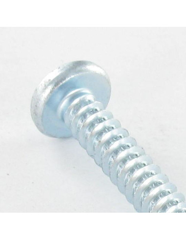 Parafuso de chapa cabeça abaulada larga quadrado 5,5 x 50 Aço zinco branco Parafuso com Cabeça com Fenda quadrada 3
