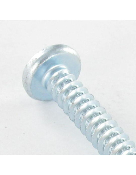 Parafuso de chapa cabeça abaulada larga quadrado 5,5 x 50 Aço zinco branco Parafuso com Cabeça com Fenda quadrada 3