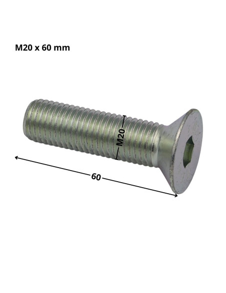 Parafuso de metais cabeça fresada hexagonal oca FHC chave de 12 M20X60 rosca total classe 10.9 Aço zinco branco