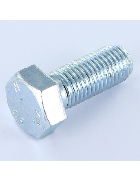Corpo de parafuso cabeça hexagonal M16X40 4.6 Aço zinco branco