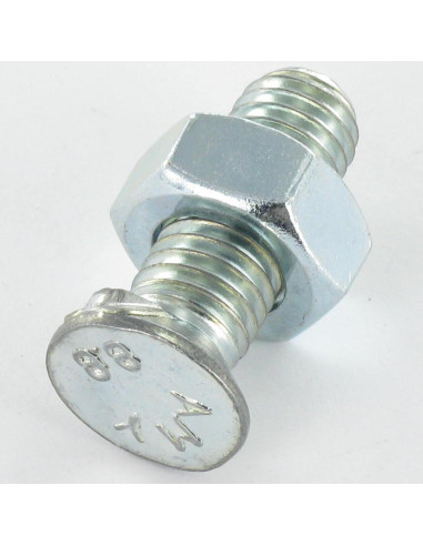 Parafuso arado cabeça fresada M10X40 2 esporas Classe 8.8 Aço zinco branco
