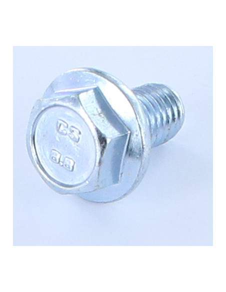 Parafuso de metais cabeça hexagonal M12X40 flange com gola serrilhada Aço zinco branco