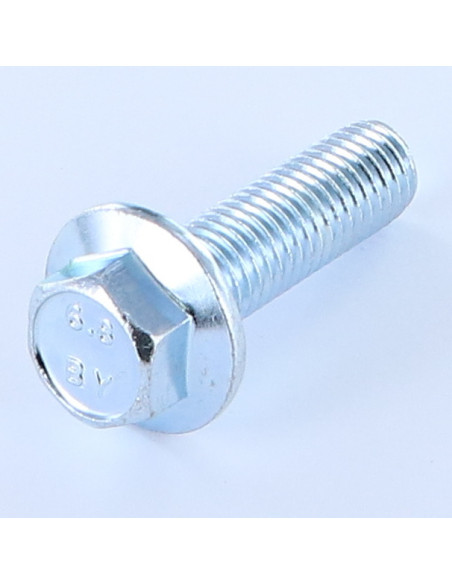 Parafuso de metais cabeça hexagonal M12X40 flange com gola serrilhada Aço zinco branco