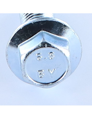 Parafuso de metais cabeça hexagonal M12X40 flange com gola serrilhada Aço zinco branco