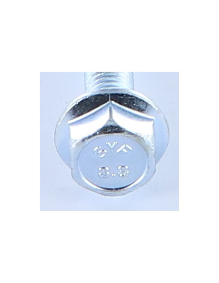 Parafuso de metais cabeça hexagonal M8X70 flange com gola serrilhada Classe 8.8 Aço zinco branco