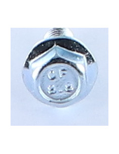 Parafuso de metais cabeça hexagonal M6X8 flange com gola serrilhada Classe 8.8 Aço zinco branco 2
