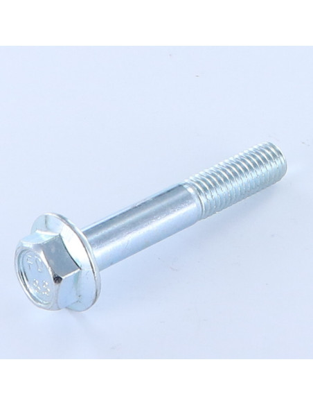 Parafuso de metais cabeça hexagonal M10X60 rosca parcial flange com gola serrilhada Classe 8.8 Aço zinco branco
