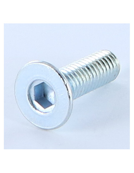 Parafuso de metais cabeça fresada hexagonal oca FHC M6X20 chave de 4 Aço zinco branco