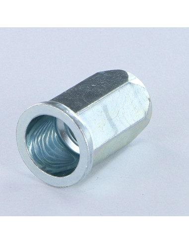 Porcas Rebite hexagonal cabeça plana M8X15,5 ACPTH 30 Aço zinco branco