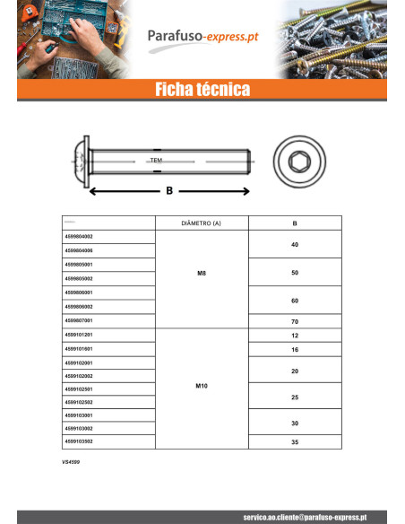 Parafuso de metais Parafuso de Cabeça Oca Sextavada flange com gola M5X8 classe 10.9 Aço zinco branco