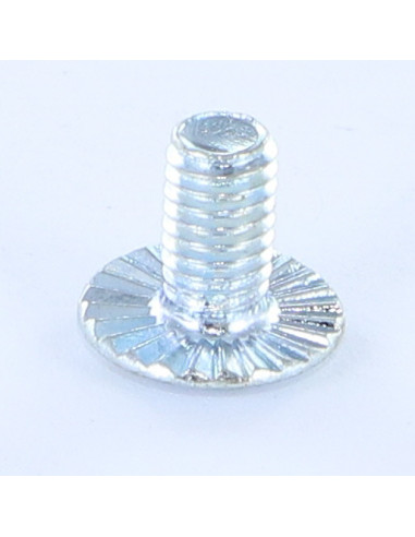 Parafuso de metais cabeça panela sulcada flange com gola serrilhada M6X10 Classe 8.8 Aço zinco branco
