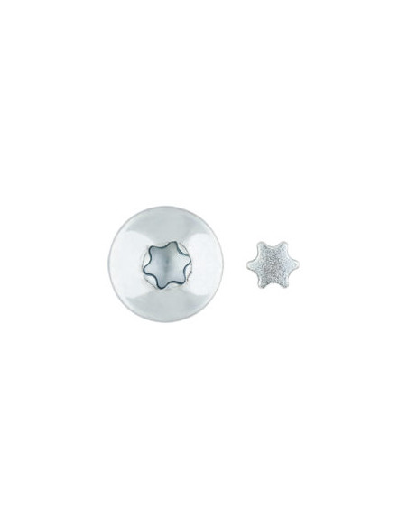 PARAFUSO dobradiça Seguro 2 peças TORX T40 7X205 Aço zinco branco