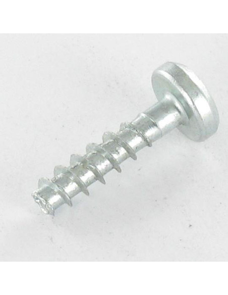 Parafuso de madeira aglomerado cabeça redonda TORX T20 4X20 sem ponta Aço zinco branco