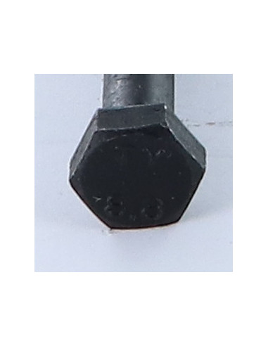 Corpo de parafuso cabeça hexagonal M10X100 Classe 8.8 Aço bruto