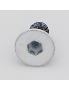 Parafuso de metais cabeça fresada hexagonal oca FHC M3X6 rosca total classe 10.9 chave de 2 Aço bruto LBL
