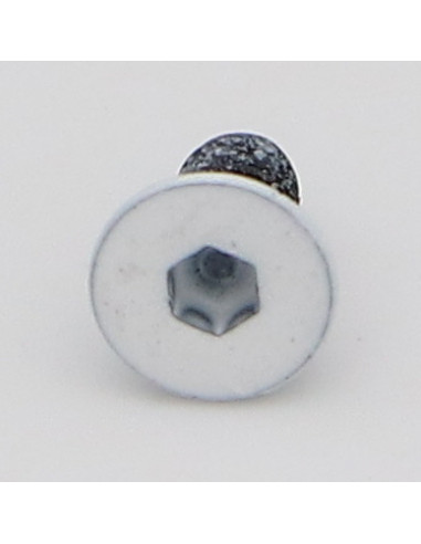 Parafuso de metais cabeça fresada hexagonal oca FHC M3X6 rosca total classe 10.9 chave de 2 Aço bruto LBL