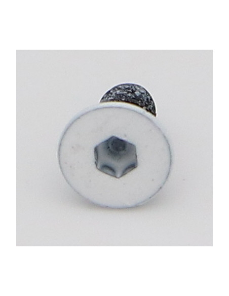 Parafuso de metais cabeça fresada hexagonal oca FHC M3X6 rosca total classe 10.9 chave de 2 Aço bruto LBL