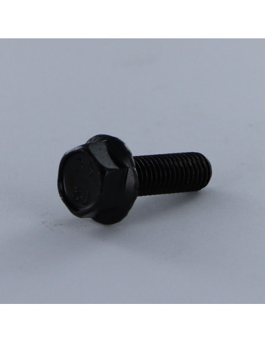 Parafuso de metais cabeça hexagonal M8X25 flange com gola serrilhada Classe 8.8 Aço zinco preto