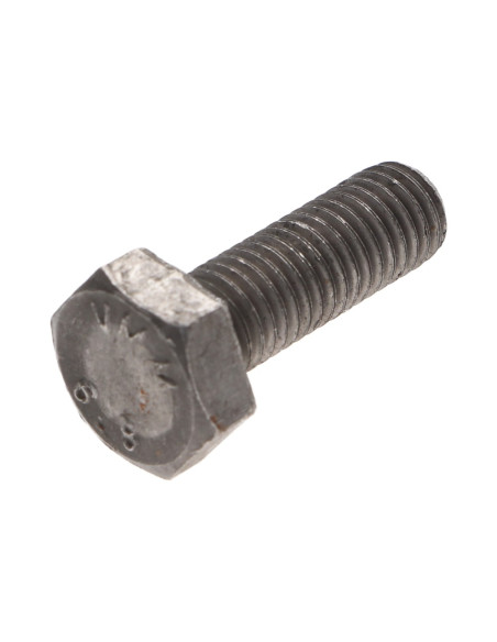 Parafuso de metais cabeça hexagonal M2X10 Aço bruto