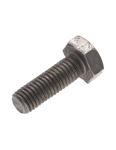 Parafuso de metais cabeça hexagonal M2X10 Aço bruto
