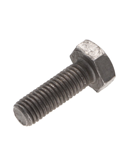 Parafuso de metais cabeça hexagonal M2X10 Aço bruto