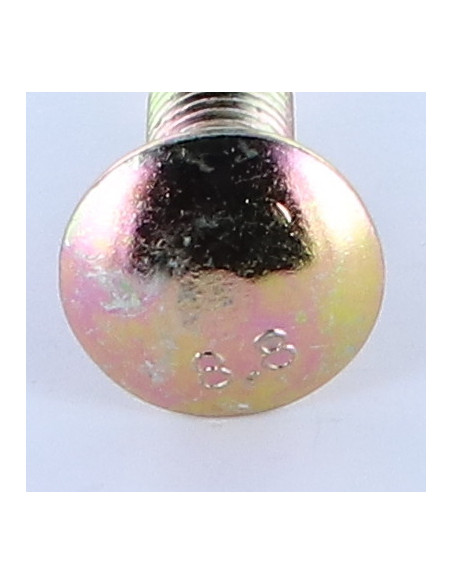 Parafuso cabeça redonda gola quadrada M12X50 gola baixa Classe 8.8 Aço zinco branco 200 Horas de nevoeiro salino sem