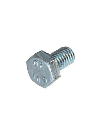 Parafuso de metais cabeça hexagonal M6X10 classe 10.9 Aço zinco branco