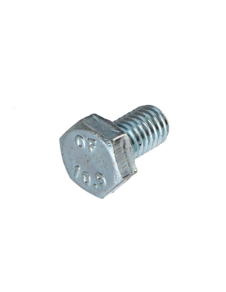Parafuso de metais cabeça hexagonal M6X10 classe 10.9 Aço zinco branco