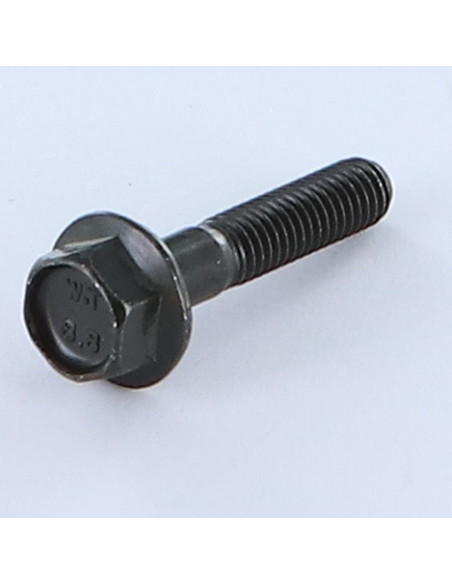 Parafuso de metais cabeça hexagonal M6X30 roscado sobre 18 flange com gola serrilhada Classe 8.8 Aço zinco preto