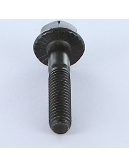 Parafuso de metais cabeça hexagonal M6X30 roscado sobre 18 flange com gola serrilhada Classe 8.8 Aço zinco preto