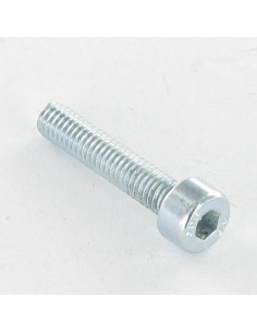 Parafuso de metais Parafuso cabeça oca sextavada M8X14 rosca total Classe 8.8 chave de 6 Aço zinco branco