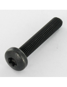 Parafuso de metais cabeça panela TORX T40 M8X45 10.9ZNN480HBSSRR
