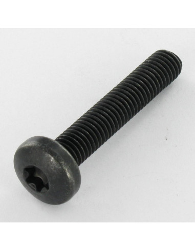 Parafuso de metais cabeça panela TORX T40 M8X45 classe 10.9 Aço bruto Zinco níquel preto 480 horas de nevoeiro